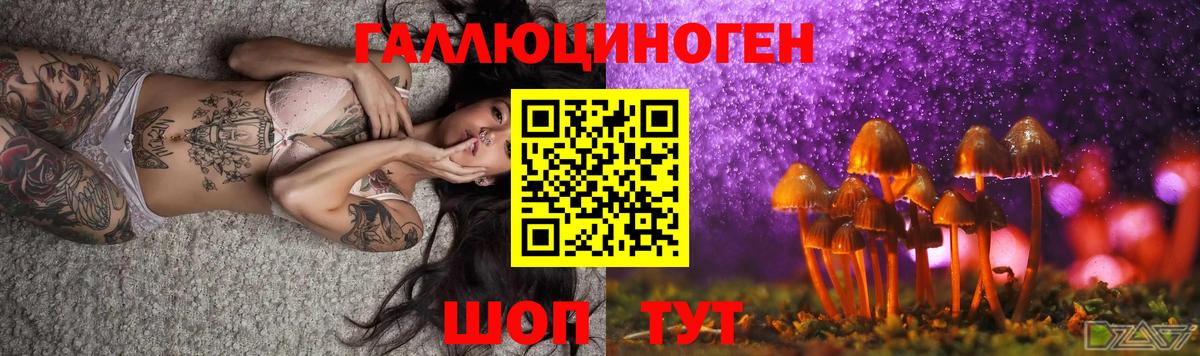 Лениногорск  Псилоцибиновые грибы MAGIC MUSHROOMS  Вход с VPN 